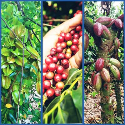 afbeeldingIMG-20240912-WA0012